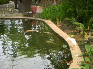 Malaysia - Kuala Lumpur - KL Bird Park - doors keeping birds in