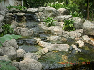 Malaysia - Kuala Lumpur - KL Bird Park fish in pond