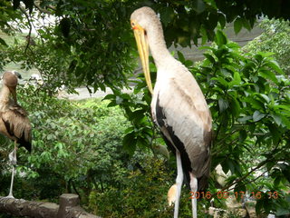 Malaysia - Kuala Lumpur - KL Bird Park