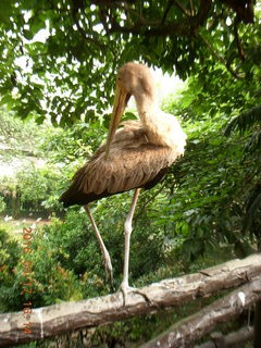 Malaysia - Kuala Lumpur - KL Bird Park trash can