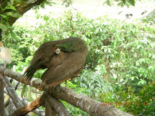 Malaysia - Kuala Lumpur - KL Bird Park trash can