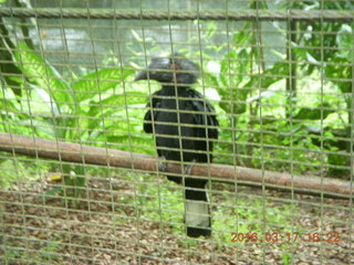 Malaysia - Kuala Lumpur - KL Bird Park