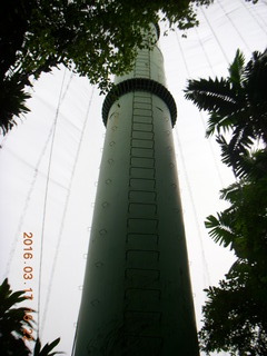 Malaysia - Kuala Lumpur - KL Bird Park tower holding netting up