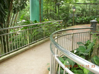 Malaysia - Kuala Lumpur - KL Bird Park path