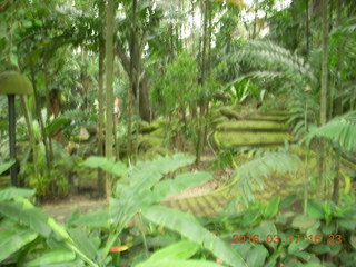 160 99h. Malaysia - Kuala Lumpur - KL Bird Park path