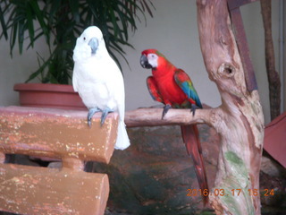 Malaysia - Kuala Lumpur - KL Bird Park - photo spot