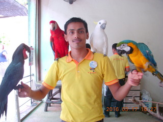 168 99h. Malaysia - Kuala Lumpur - KL Bird Park - photo spot