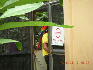 170 99h. Malaysia - Kuala Lumpur - KL Bird Park - photo spot guy