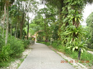 Malaysia - Kuala Lumpur - KL Bird Park - path