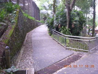 Malaysia - Kuala Lumpur - KL Bird Park path