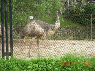 Malaysia - Kuala Lumpur - KL Bird Park - photo spot