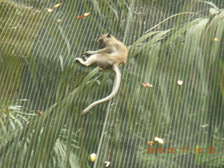 Malaysia - Kuala Lumpur - KL Bird Park - photo spot