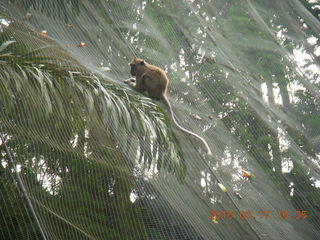 Malaysia - Kuala Lumpur - KL Bird Park - path