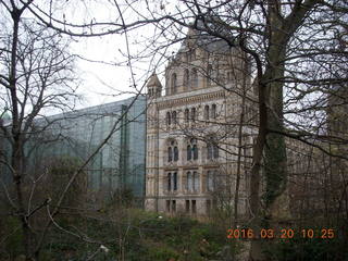 London Natural History museum