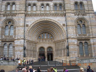 33 99l. London Natural History museum