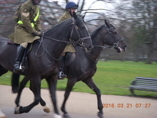 London run - horses