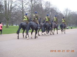 London run - horses