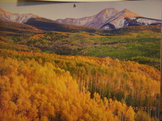 picture from my calendar