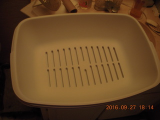 new litter box LUUUP
