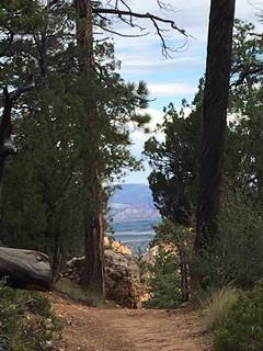 Bryce Canyon weekend - Ana's pictures