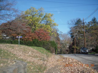 Pennsylvania - Elkins Park - 8219 Forest Avenue - sidewalk