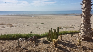 Koltton pictures - Rocky Point - Mayan Palace