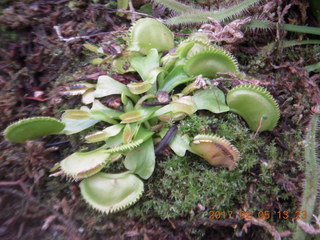 Longwood Gardens with the Schubels + Venus Fly trap