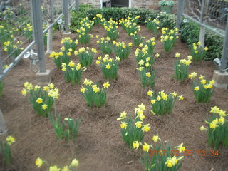 576 9l5. Longwood Gardens with the Schubels + Betsy and Cecelia and John and Sandra