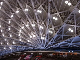 Princeton Alumni Day - Jadwin Gym
