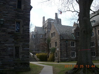 Princeton Alumni Day