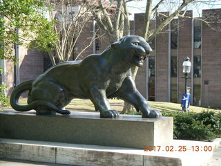 Princeton Alumni Day - tiger