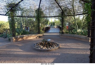 Desert Botanical Garden