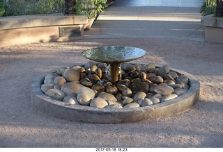 Desert Botanical Garden