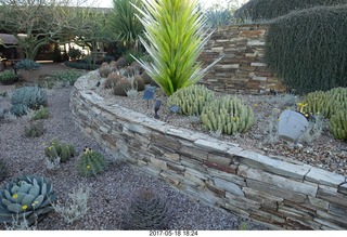 Desert Botanical Garden