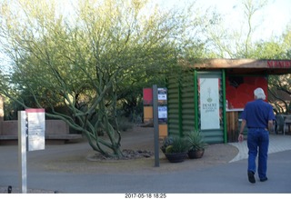 Desert Botanical Garden