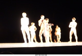 Desert Botanical Garden - lights for Arizona Ballet