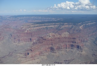 Kim taking a picture at the grand canyon