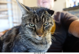 Flagstaff Airport - Wiseman Aviation cat