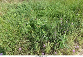 Afton, Minnesota, run