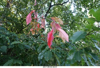 Desert Dash - starting line