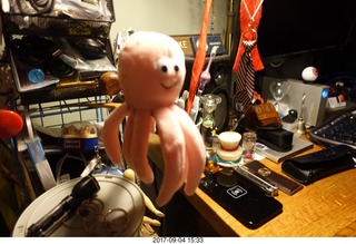 Riverton Airport - lady taking eclipse pictures