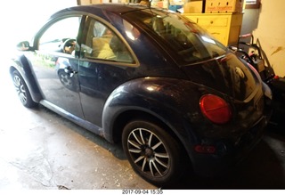 53 9t4. Mike Bird's new beetle