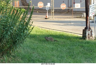 northeast philly - motel 6 parking lot