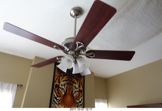 my Hunter ceiling fan