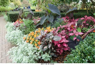 Longwood Gardens - fountains