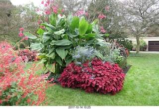 Longwood Gardens - flowers