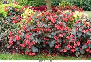 Longwood Gardens - flowers