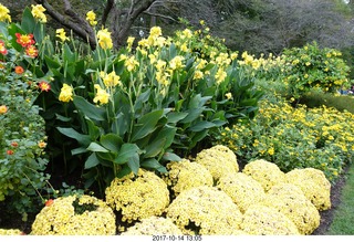 Longwood Gardens - flowers