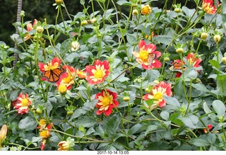 Longwood Gardens