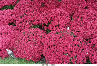 Longwood Gardens